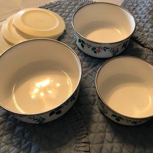 Storage Bowls & Lids #2270